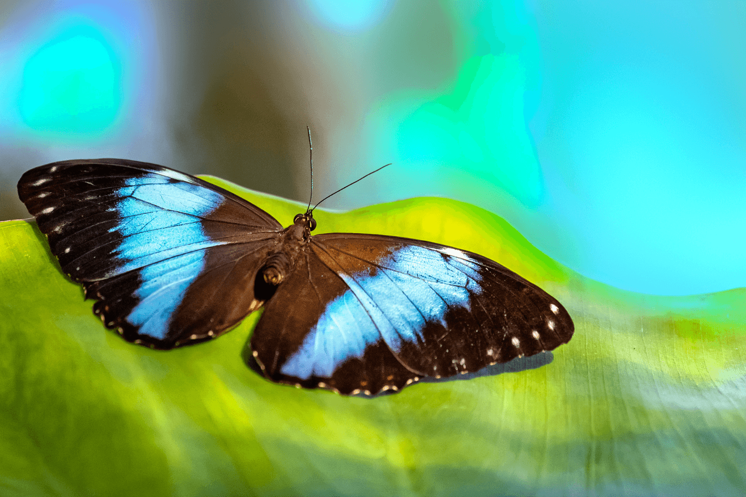 Overcoming Fear With Faith