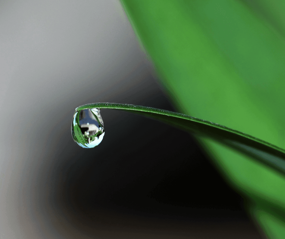 Little By Little Is A Big Principle Of Faith