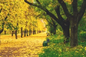 The spiritual importance of change