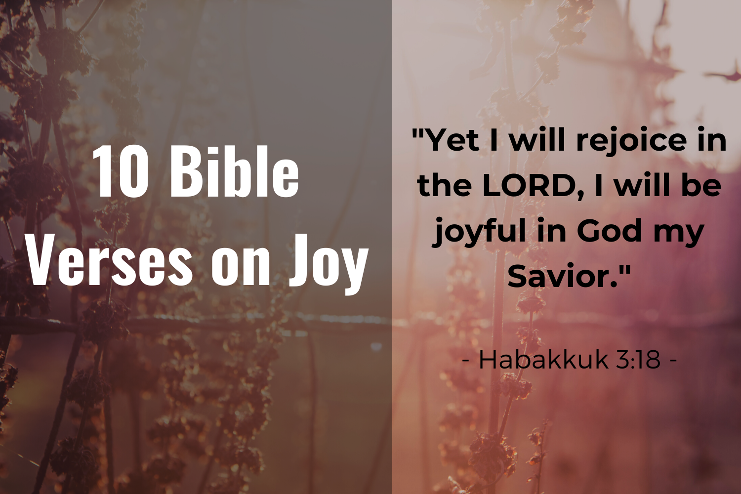 10 Bible Verses On Joy