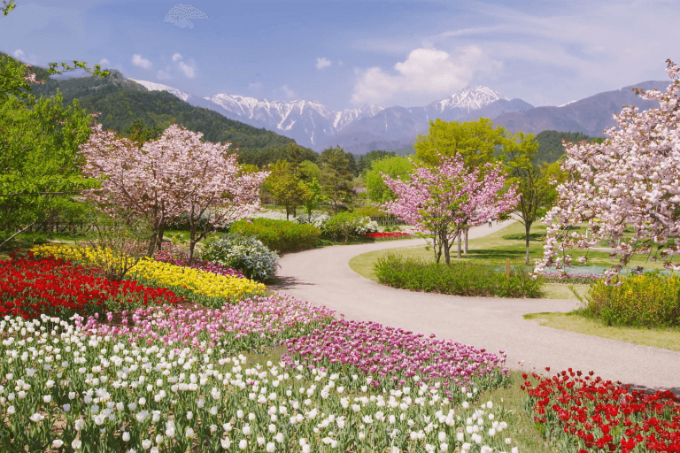 Easter signifies newness