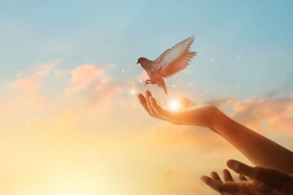 Once there is life there is hope